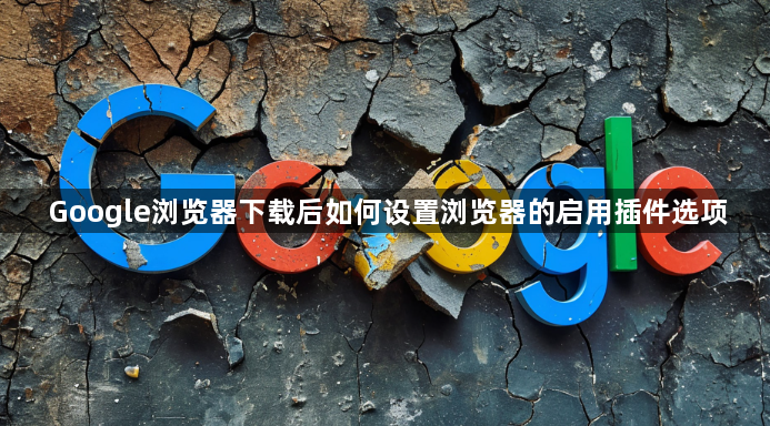 Google浏览器下载后如何设置浏览器的启用插件选项1