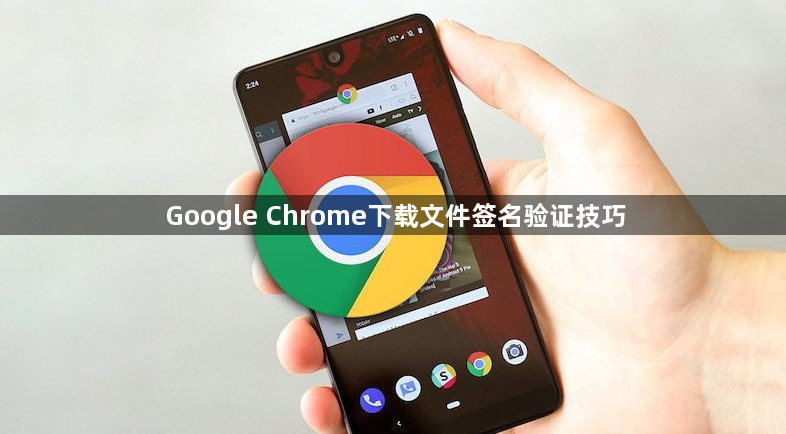 Google Chrome下载文件签名验证技巧1