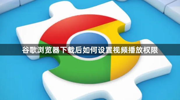 谷歌浏览器下载后如何设置视频播放权限1