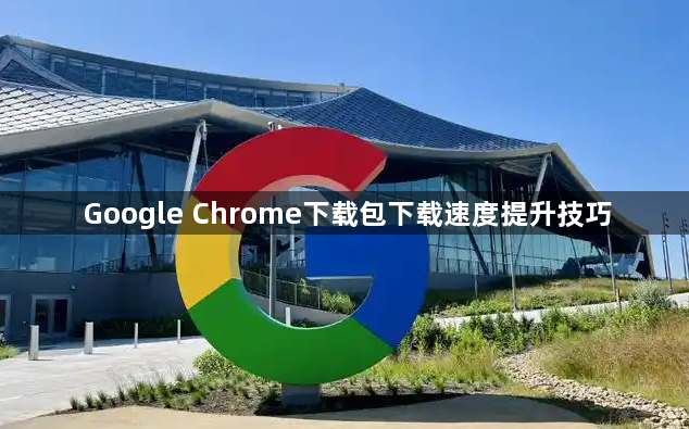 Google Chrome下载包下载速度提升技巧1