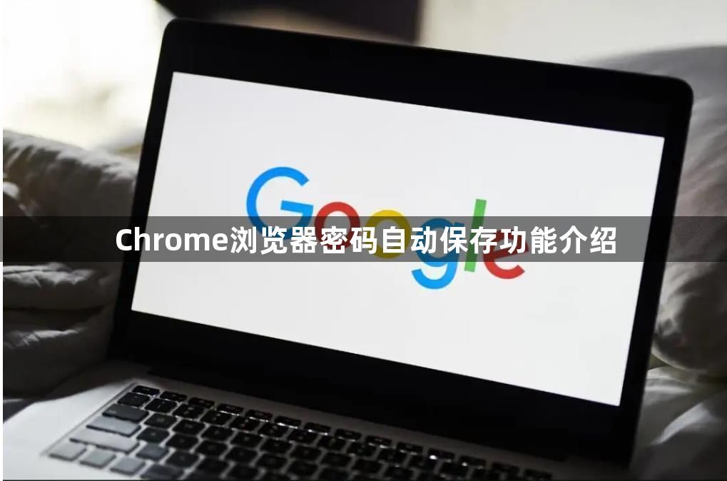 Chrome浏览器密码自动保存功能介绍1