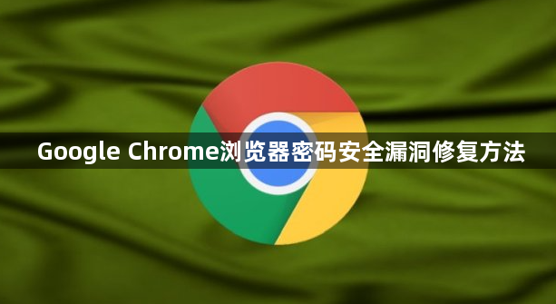 Google Chrome浏览器密码安全漏洞修复方法1