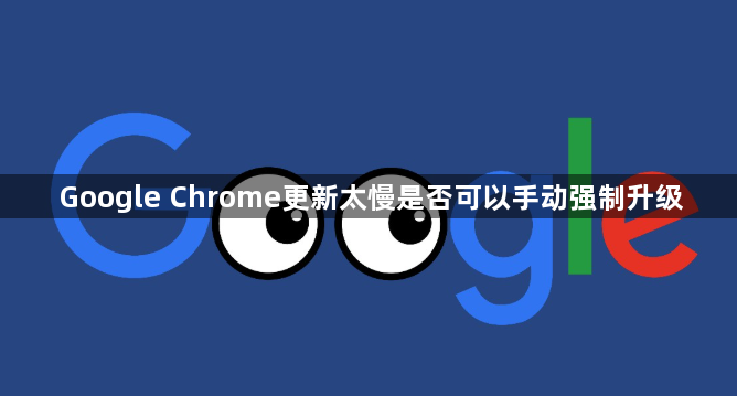 Google Chrome更新太慢是否可以手动强制升级1