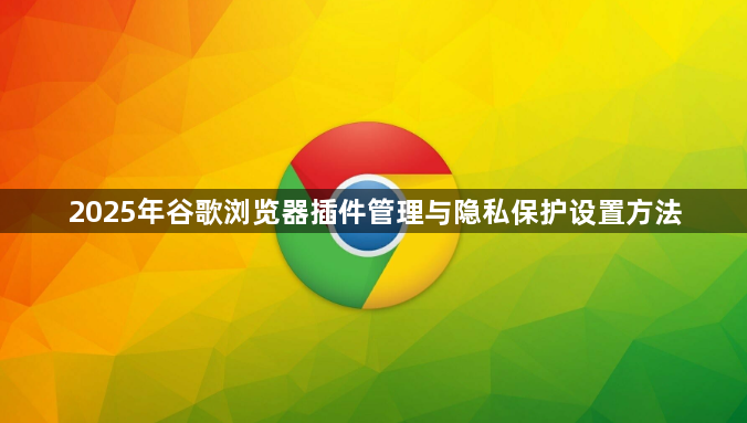2025年谷歌浏览器插件管理与隐私保护设置方法1