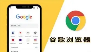 Chrome浏览器下载完成后浏览器历史记录导入导出详细教程