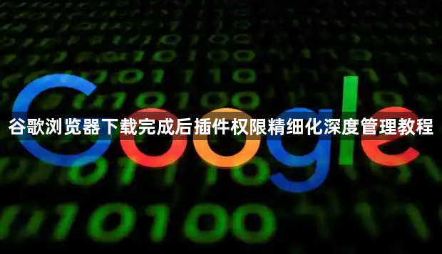 谷歌浏览器下载完成后插件权限精细化深度管理教程1