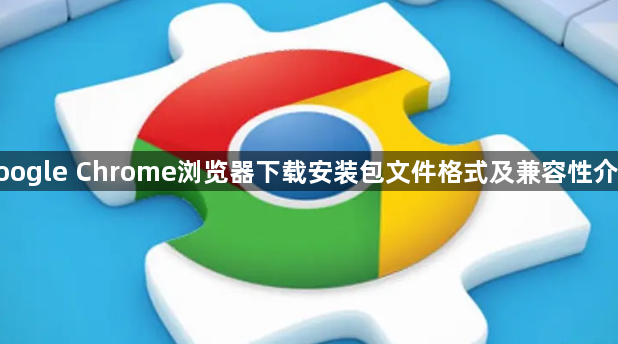 google Chrome浏览器下载安装包文件格式及兼容性介绍1