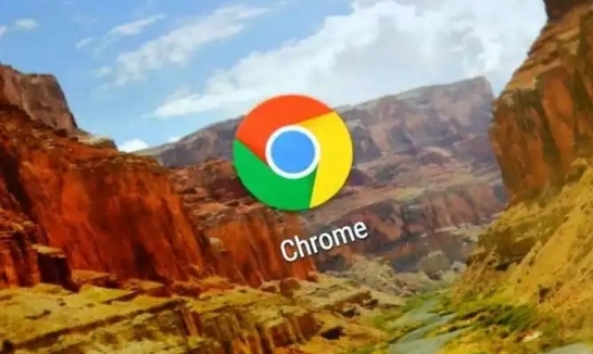 google Chrome浏览器缓存占用优化操作策略
