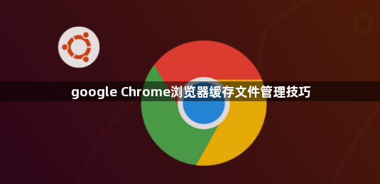 google Chrome浏览器缓存文件管理技巧1