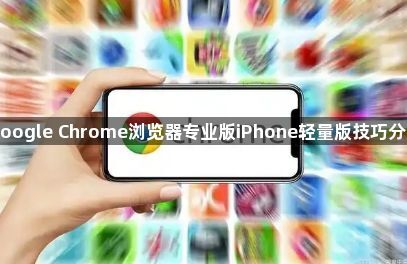 Google Chrome浏览器专业版iPhone轻量版技巧分享1