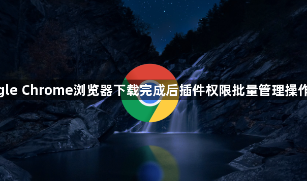 google Chrome浏览器下载完成后插件权限批量管理操作教程1