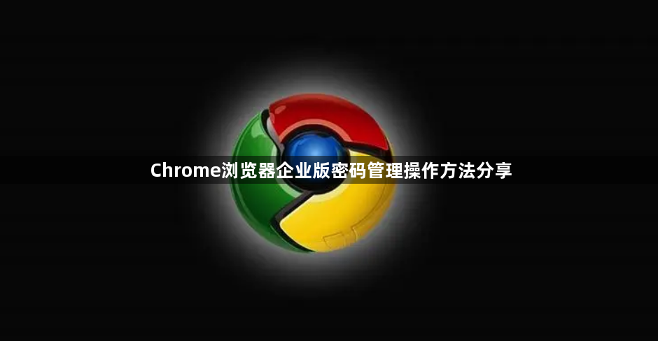 Chrome浏览器企业版密码管理操作方法分享1