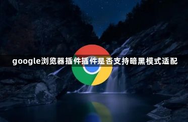 google浏览器插件插件是否支持暗黑模式适配1