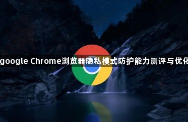 google Chrome浏览器隐私模式防护能力测评与优化1