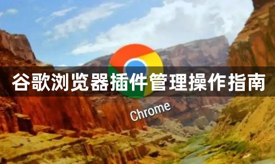 谷歌浏览器插件管理操作指南1
