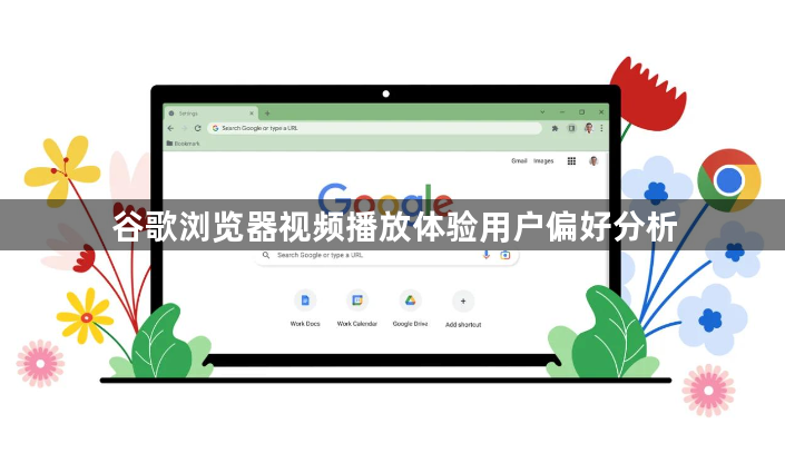 谷歌浏览器视频播放体验用户偏好分析1